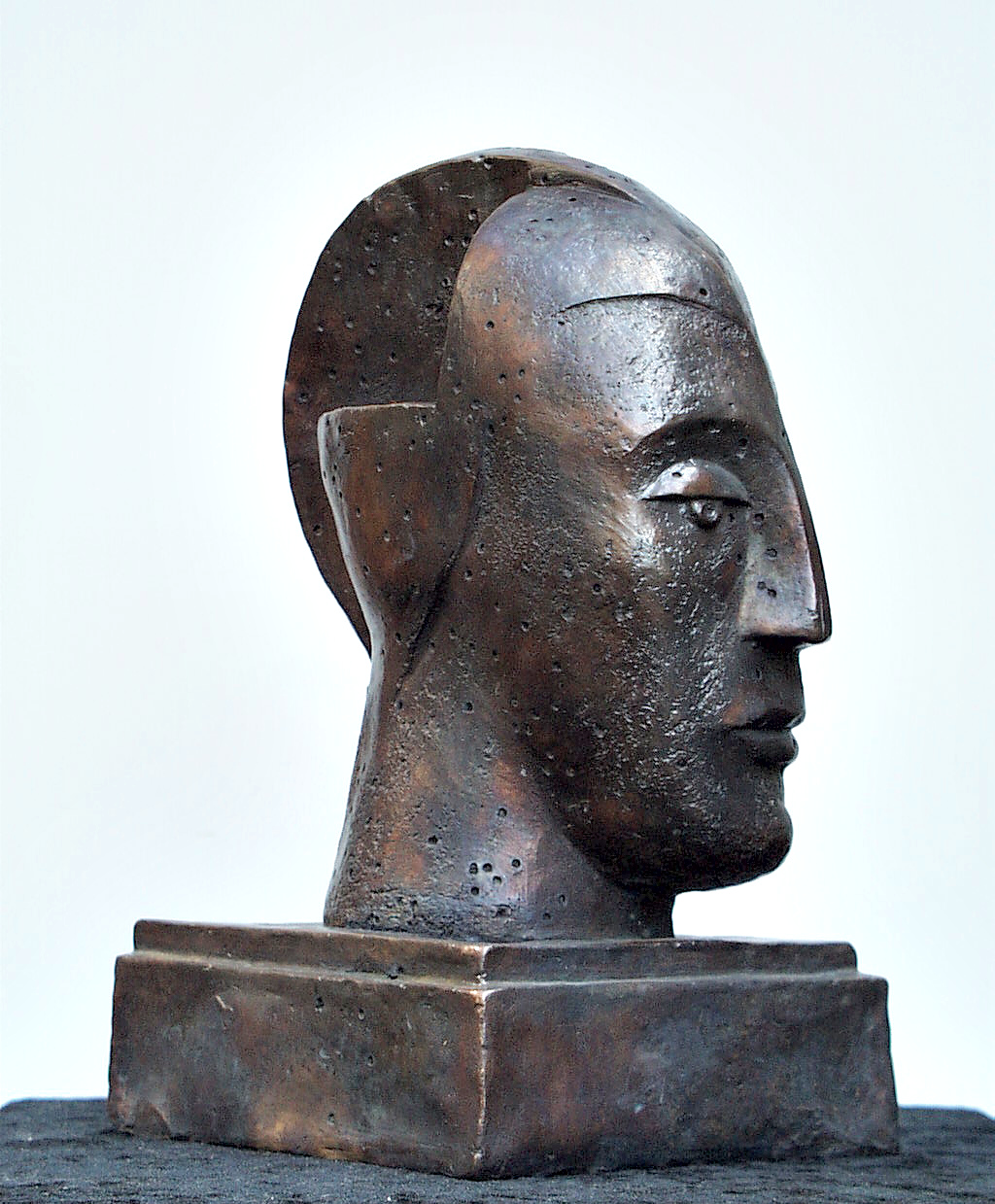 Archillus perforatus211